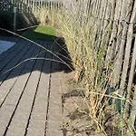 Westerhuisje